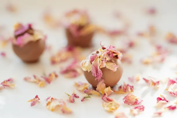 LottoKings Kaszinó Android/iOS Alkalmazás